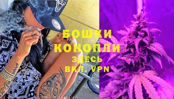 винт Арсеньев