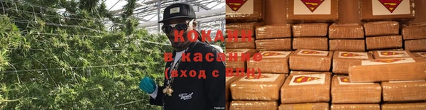 винт Арсеньев