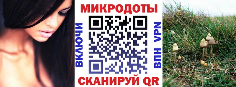 Псилоцибиновые грибы Psilocybine cubensis  Купить закладки  Ахтубинск 